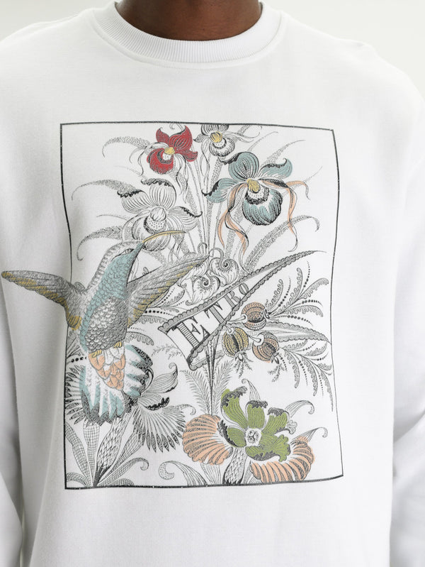 Etro Sweater C-Neck W/ Dropped Shoulders White