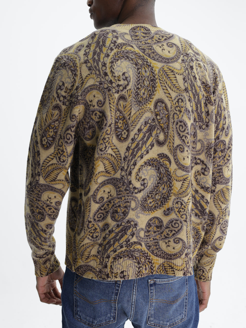 Etro Knitted C-Neck Paisley Print Multi