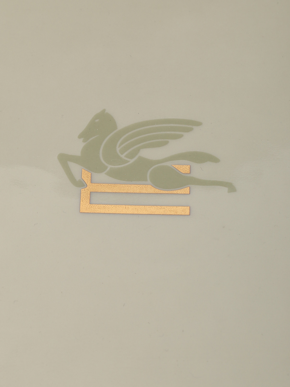 Etro Pegaso Rectangular Tray 20X16 H. 4 Cm Light Olive