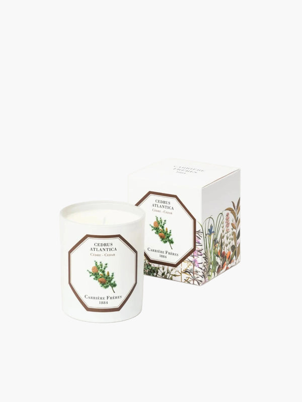 Carriere Freres Scented Candle 185G Cedar