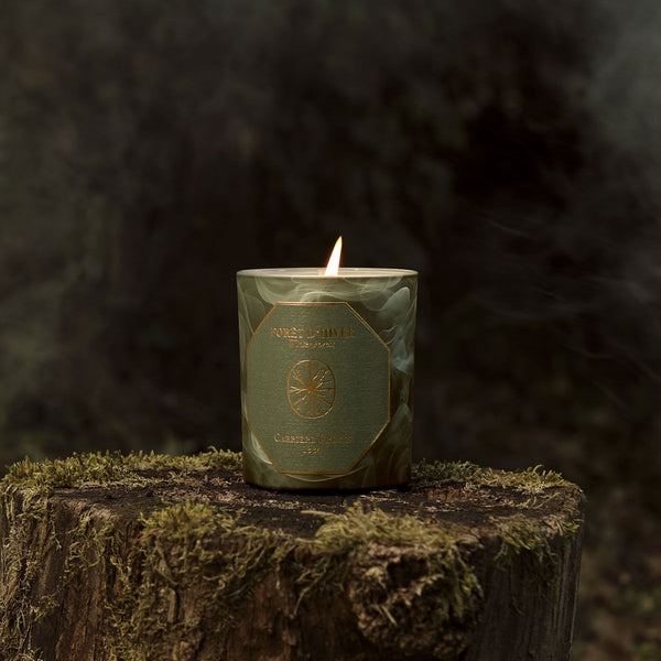 Carriere Freres Scented Candle 185G Winter Forest 24